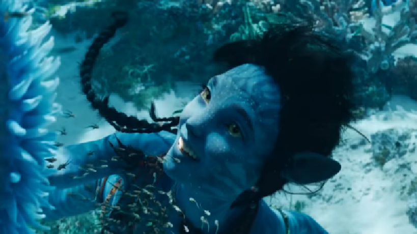 Alternate Text Not Supplied for avatar 2.